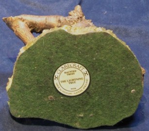 THE LIGHTNING TREE WF16 (5)